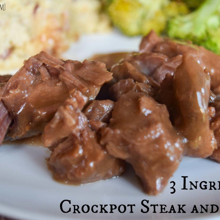 3 Ingredient Crockpot Steak and Gravy | Cuts and Crumbles
