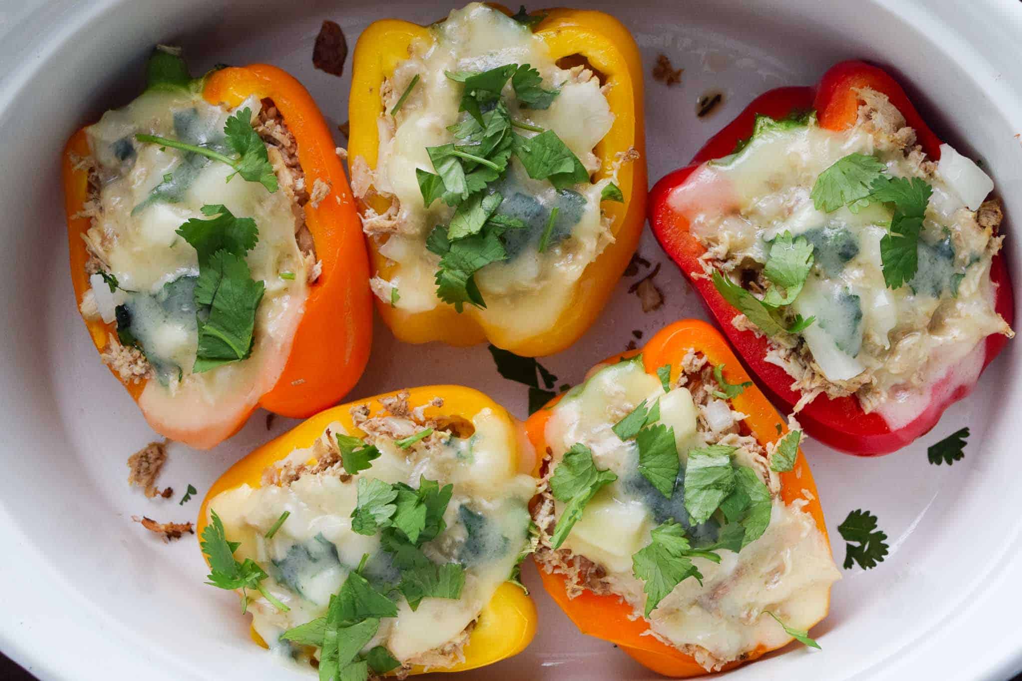 cooked chicken stuffed peppers in white dish topped with melted provolone and cilantro overhead shot