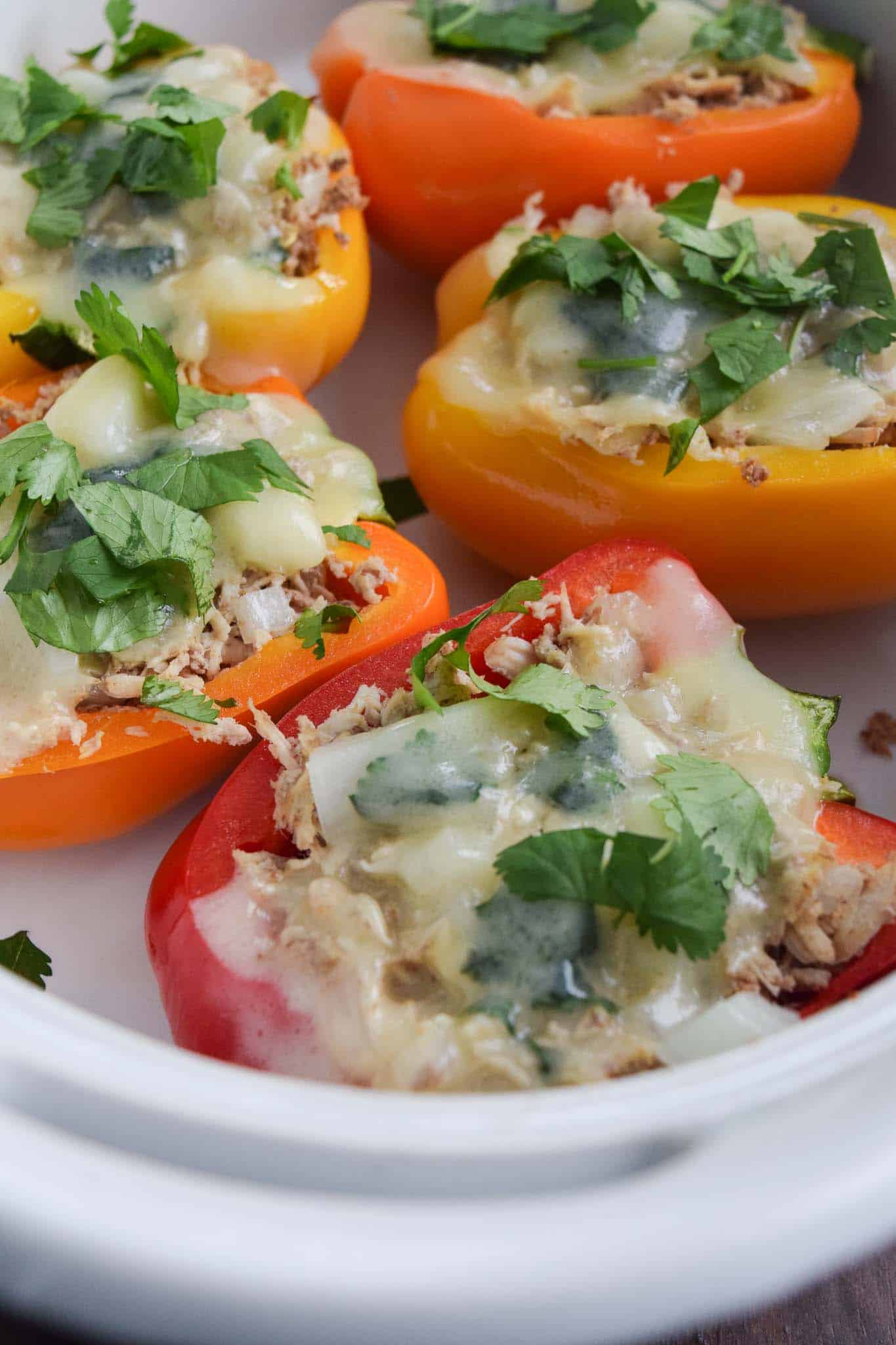 chicken stuffed peppers in white dish ready to be served close up 