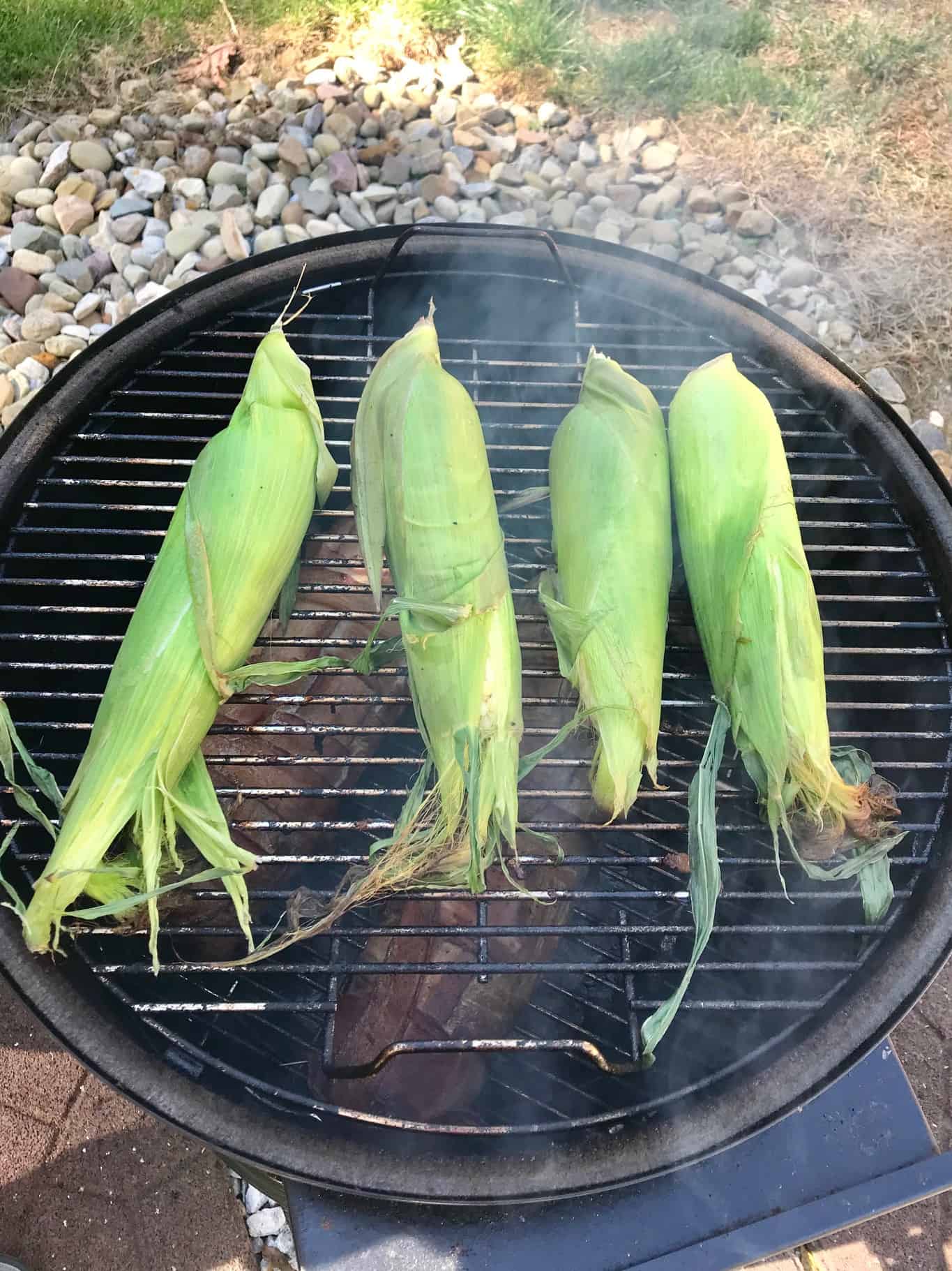 Corn on the cob in husks on weber grill 