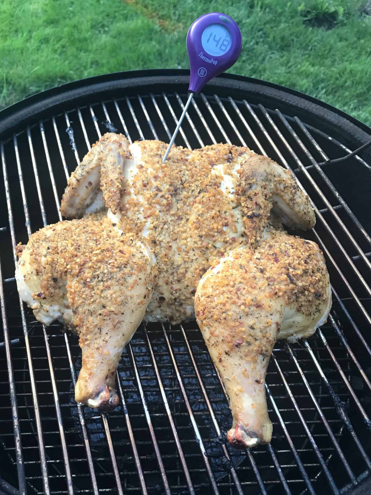 Spatchcocked chicken on weber grill with thermometer sticking out side view