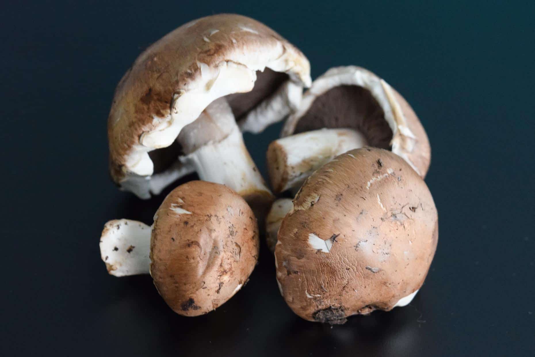 Mushrooms on black background