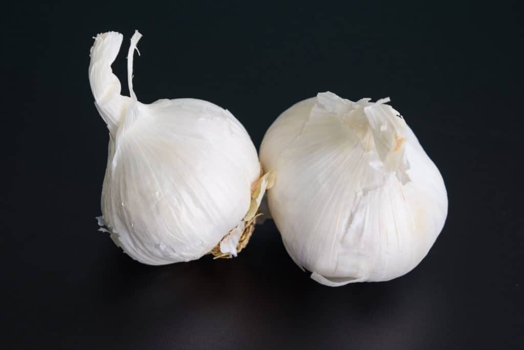 garlic on black background 