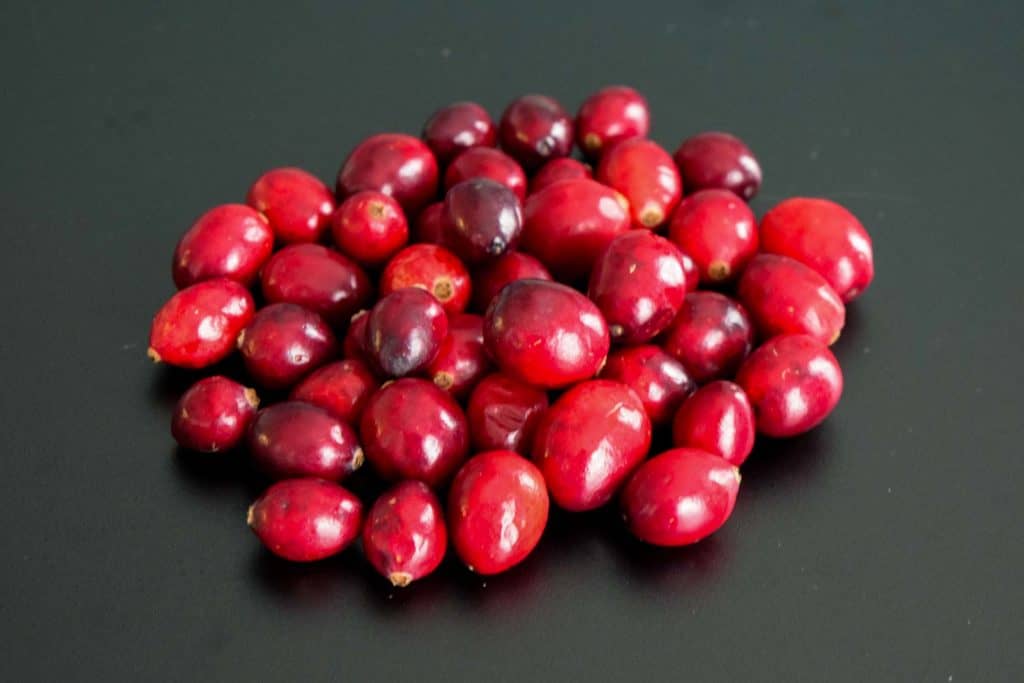 pile of cranberries on black background