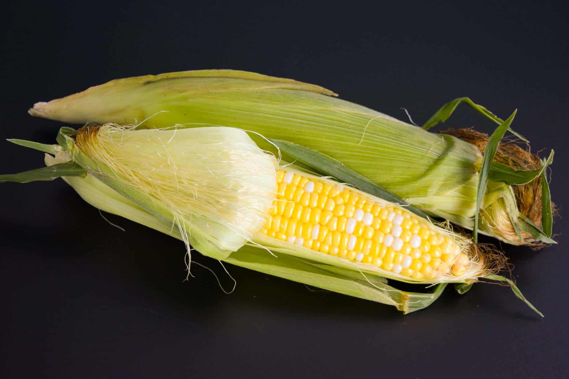 Corn on the cob on black background 